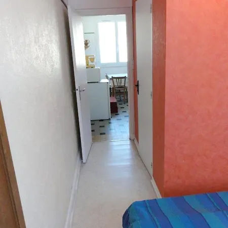 アパート Appartement D'Une Chambre A La Bourboule Avec Magnifique Vue Sur La Montagne Jardin Clos Et Wifi A 12 Km Des Pistes
